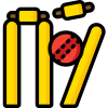 cricket(2)